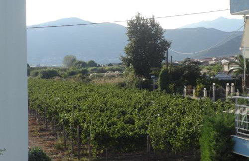 Τhe Diamond - Foto 28