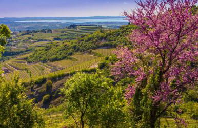 La casa di Anna - Foto 35