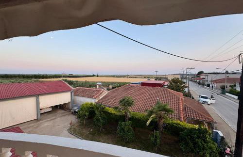 House Vistonida - Photo 6