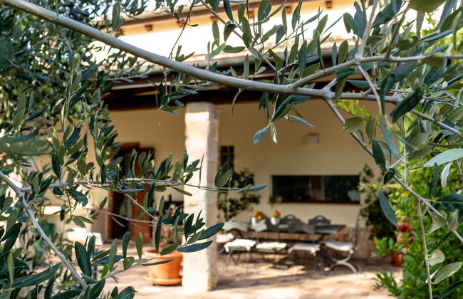 Rêve d'Or - Foto 30