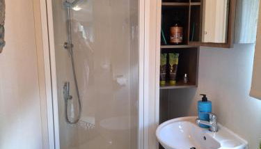 The Hummingbird - Photo 3