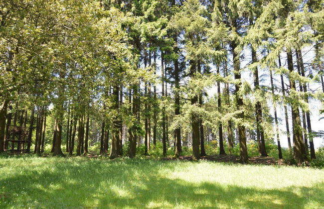 Welcoming Cottage in Hatrival With Terrace - Foto 28