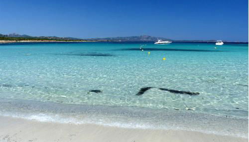 Grazioso bilocale a Porto Rotondo in Costa Smeralda - Photo 2