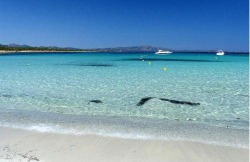 Grazioso bilocale a Porto Rotondo in Costa Smeralda - Photo 2