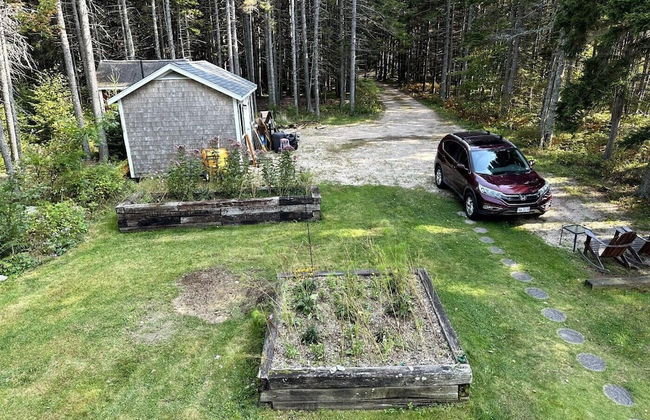 Close Call - Photo 19