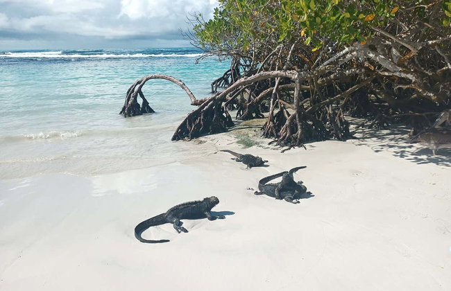 Tour de 7 días por las islas Isabela, Santa Cruz y San Cristóbal - Foto 5