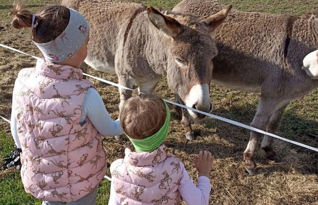 Rossweid hut With a Fantastic View - Foto 20