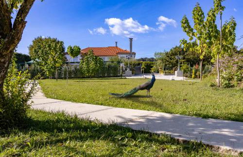 W430 Guimarães - Foto 10