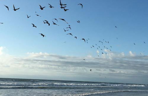 Spanish Main - Photo 23