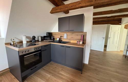 Apartmenthaus Alte Scheune Gunzenhausen - Foto 65