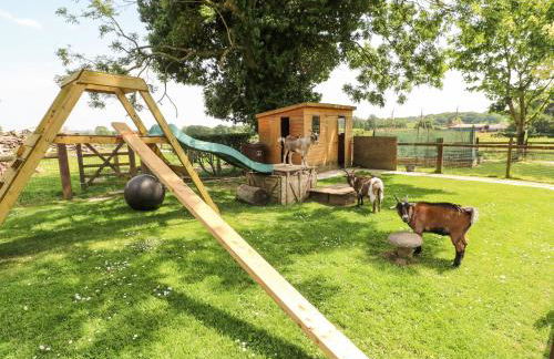 Pipistrelle - Foto 19