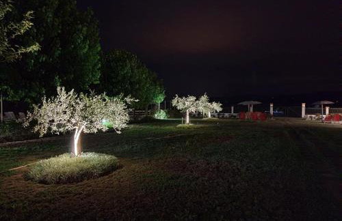 Biscoutsis Apartments & Studios - Foto 11