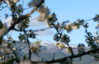 Rouleraventoux, Gîte sportif avec piscine, sauna, salle de sport, jardin - Foto 17