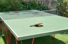 SUPERBE MAISON 6 ch, 4 sdb, terrasses et billard - Foto 10
