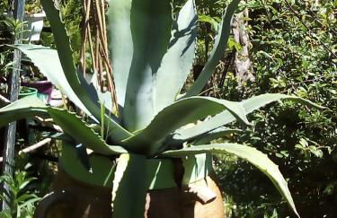 Le Logis d'Elisa - Foto 25