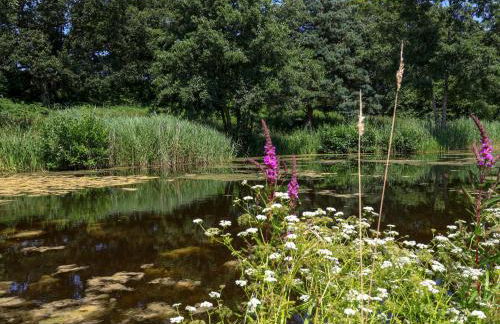 The Hayloft - Photo 26