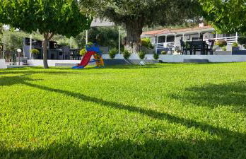 Garlis Apartments - Photo 16