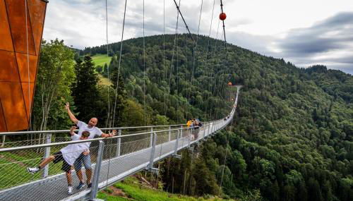 Apartment 16 - Ferienresidenz Roseneck, Galeriewohnung, mit Schwimmbad in Todtnauberg bei Feldberg - Foto 3