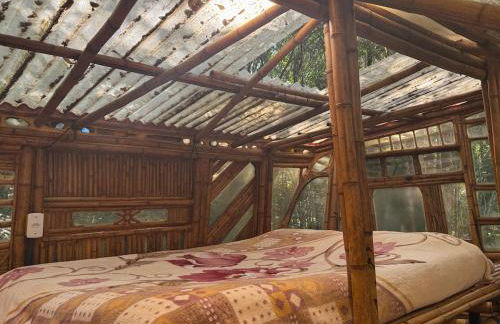 Casa Bambu Floresta Amada - Photo 14