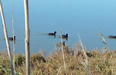 "la Casina del forno con piscina fra Catania e Siracusa " - Foto 44