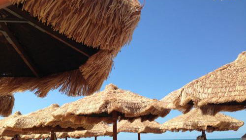 Holiday Dreams - Foto 2