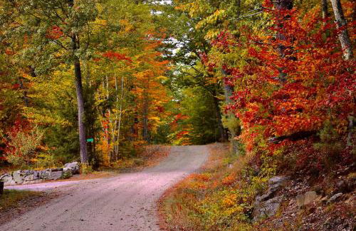 Waterfront Escape with Kayak, Paddle Boards, and Sauna - Foto 41