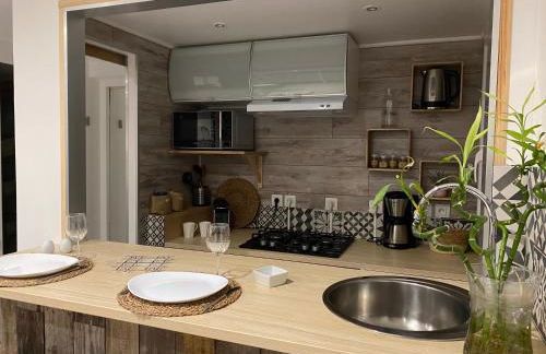 La Salamandre de l Olivier - le Mimosa - Foto 10