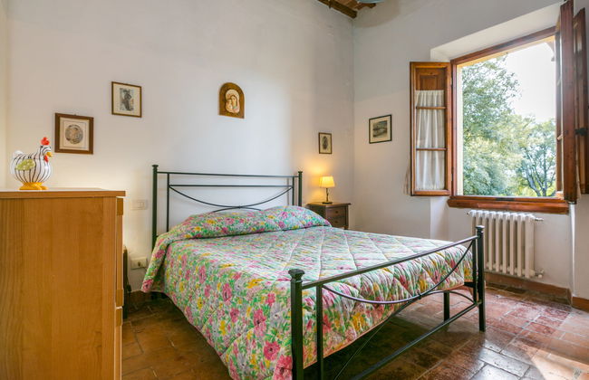 Giuggiolo 4 - Foto 23