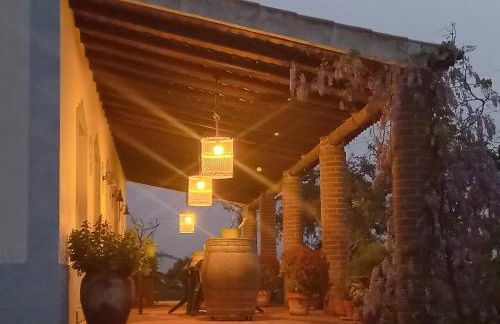 Aproveite o sabor do Alentejo - Foto 61