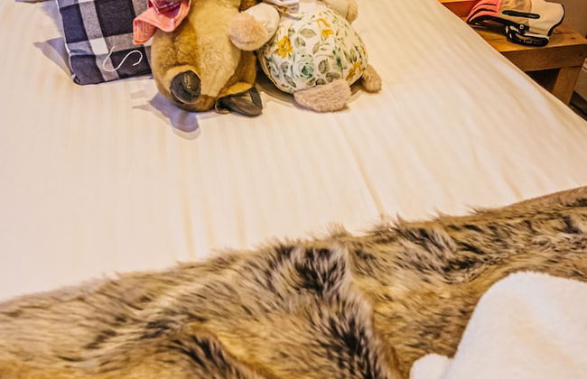 Chalet La Perle d'Oisans - Foto 3