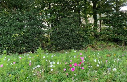Postwood Gardens Balmoral Country Cabin - Photo 9