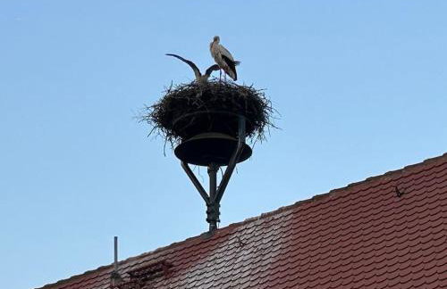 Ferienwohnung am Storchennest - Foto 63