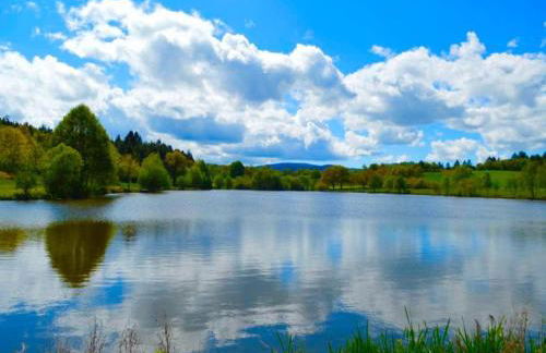 Gîte spacieux avec terrasse, nature et animaux acceptés - FR-1-496-285 - Foto 6