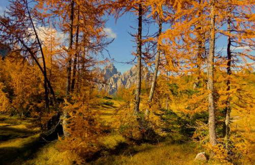 Casa Colibrì - a few steps from the ski slopes - Foto 42