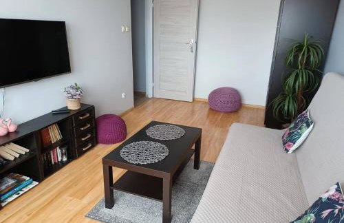 Apartament Żuławy, na wyłączność - Foto 6