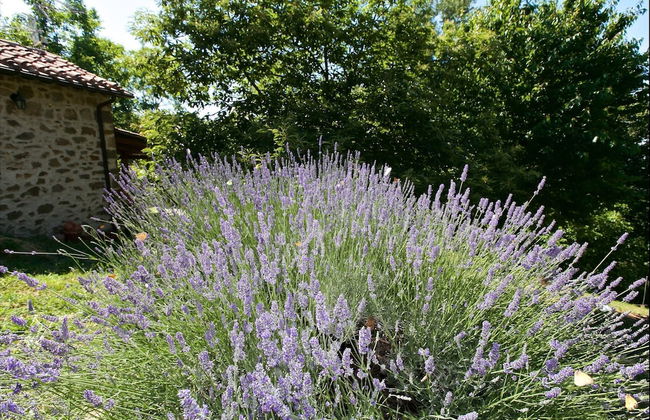 Belvilla by OYO Baita del Por Azzolo - Foto 22