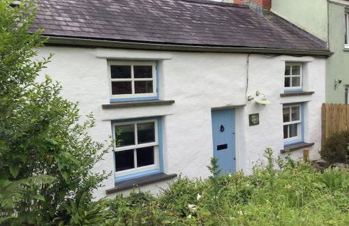 Penrallt-Fach Traditional Welsh cottage Pembrokeshire - Foto 24