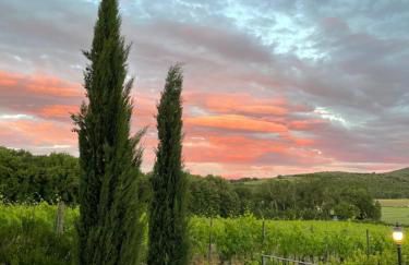 Il Colombaio Winery and Rooms - Foto 66