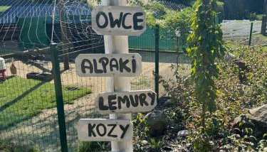 Agroturystyka Zielony Zakątek w Wiewiecku - Foto 2