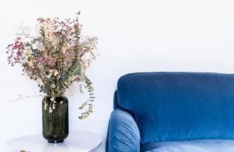 Casa Rai: ¡Déjate sorprender! - Foto 4