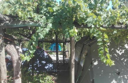 Agriturismo Mare e Monti - Foto 66