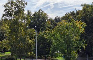 City Heaven - Foto 77