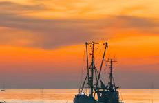 Abendsonne - Foto 10