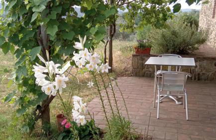 Sport Bikes and Nature - Foto 35