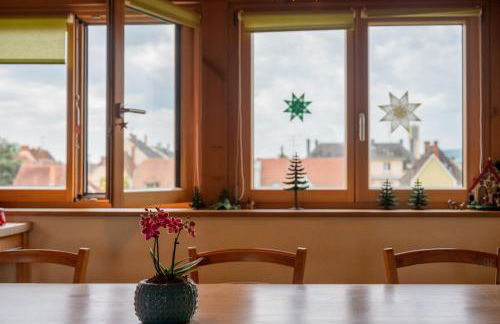 Colmar Friends and Familly guest home - ALL INCLUSIVE - COLMAR Gare - Jardin - Combles et Vous - Foto 28