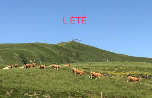 PRINCESSE DES NEIGES - Foto 22