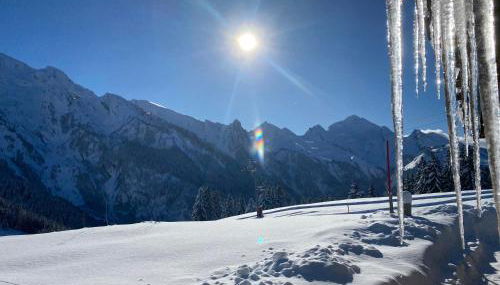 Appartement Coeur De Chalet - Foto 3