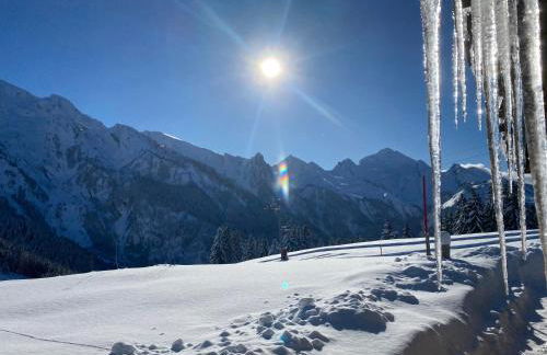 Appartement Coeur De Chalet - Foto 3