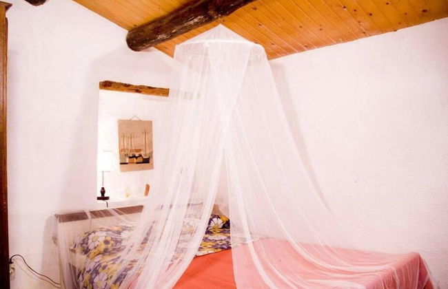 Complex Rural Can Caubet - Photo 6