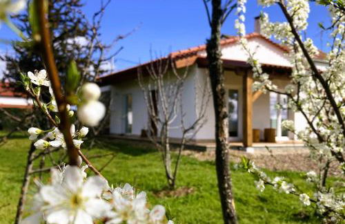 Casa Ar da Beira - Serra da Estrela - Belmonte - Foto 38